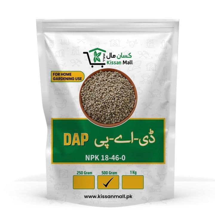 DAP Fertilizer